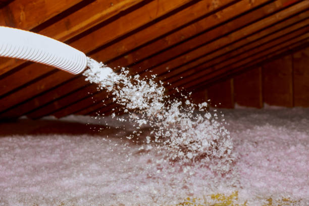 Best Garage Insulation Installation  in Brazoria, TX