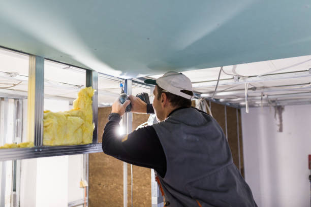Best Insulation Repair Services  in Brazoria, TX