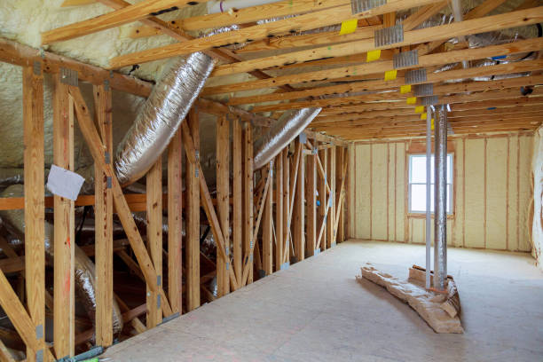 Best Home Insulation Services  in Brazoria, TX