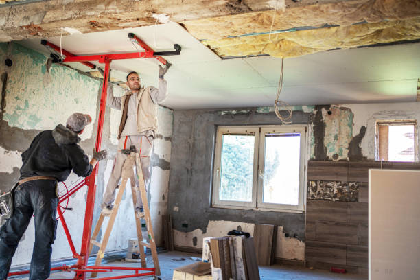 Best Insulation Contractor Near Me  in Brazoria, TX
