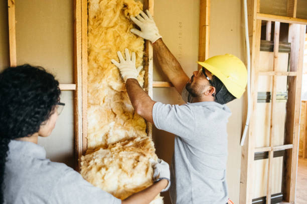 Best Fiberglass Insulation  in Brazoria, TX