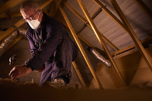 Best Fiberglass Insulation  in Brazoria, TX