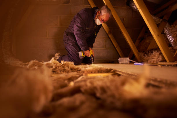Best Attic Insulation Installation  in Brazoria, TX